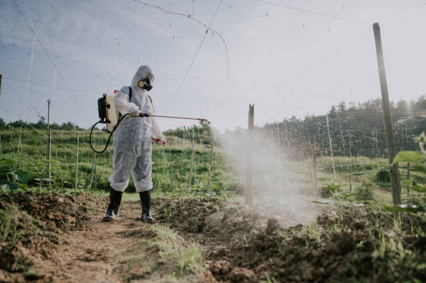 Best Pest Prevention Services  in Goodland, KS