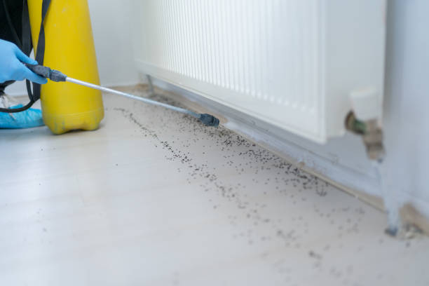 Best Commercial Pest Control Services  in Goodland, KS