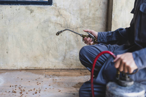 Best Local Pest Control Services  in Goodland, KS