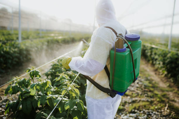 Best Cockroach Control Services  in Goodland, KS